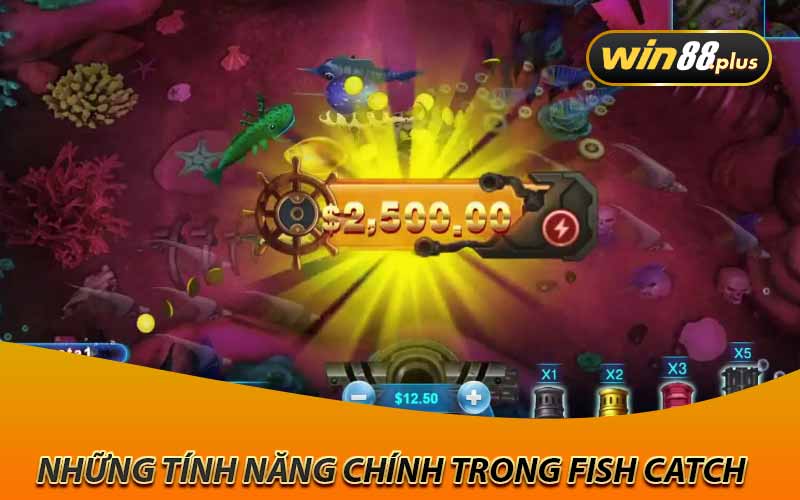 Những tính năng chính trong Fish Catch